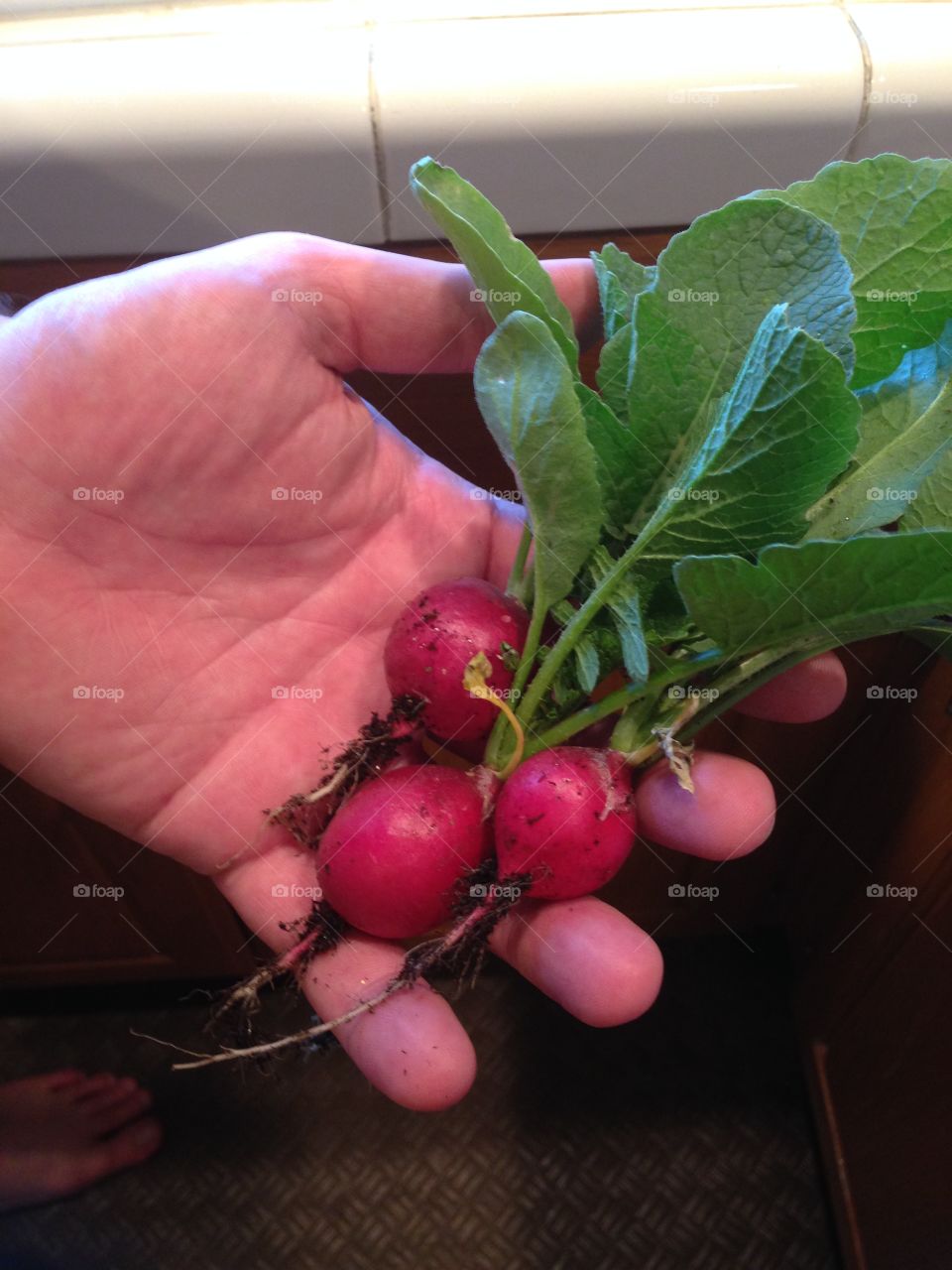 Radishes from the garden.