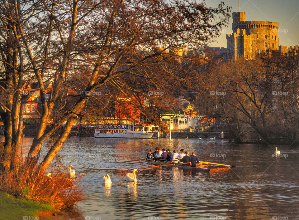 Castle. Windsor castle 