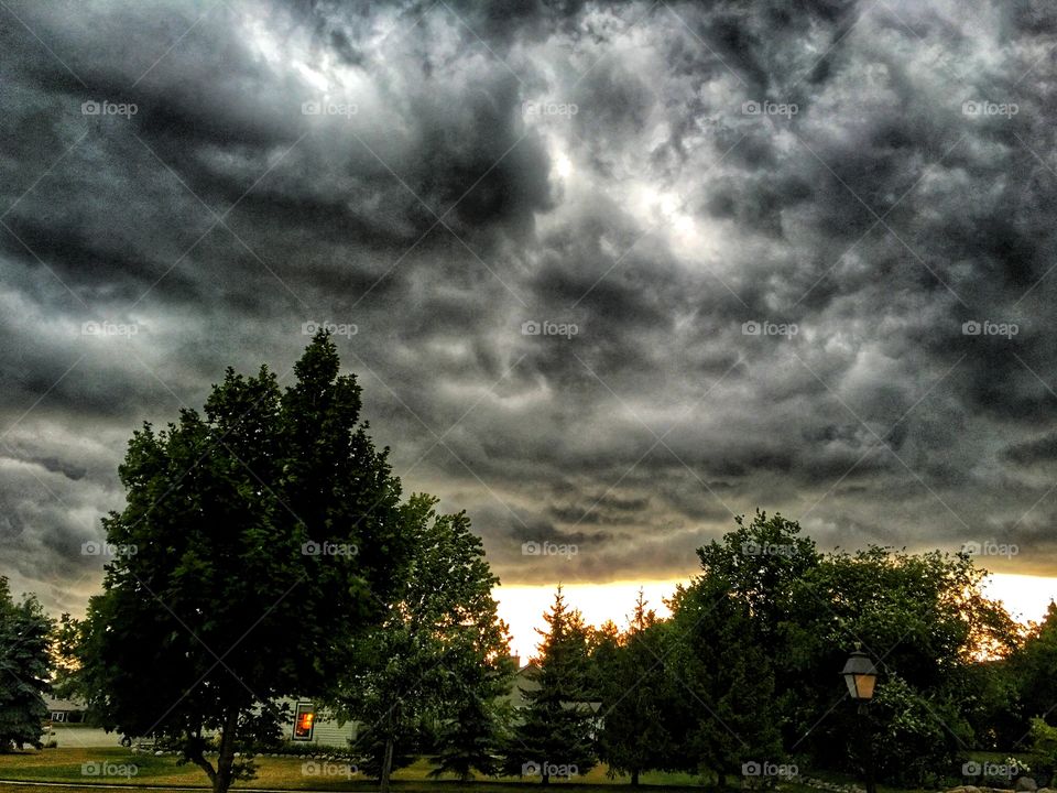 Scenic view of trees against cloudy sky