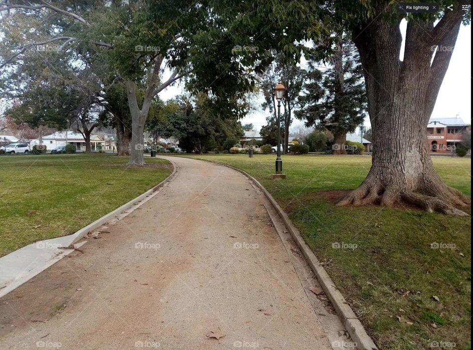 A Serene Path Through a Picturesque Park