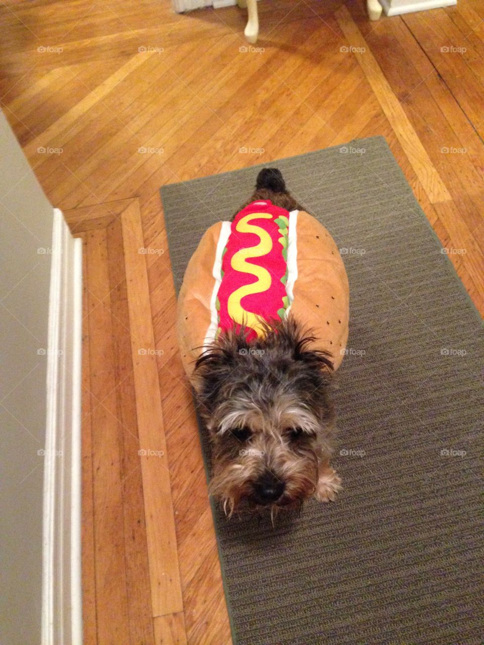 Halloween hot dog