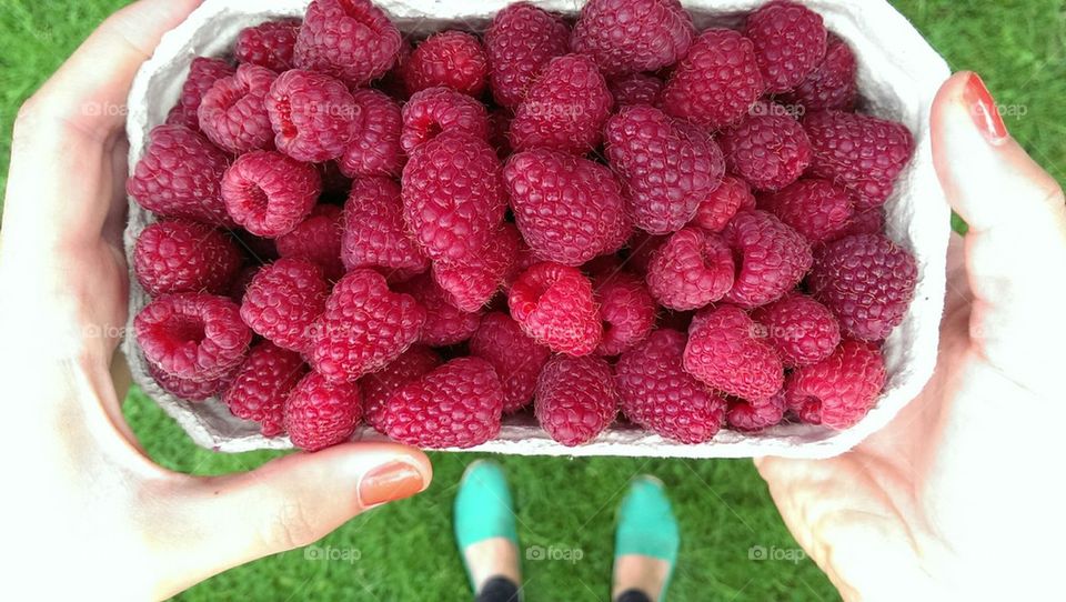 Girl with Raspberries