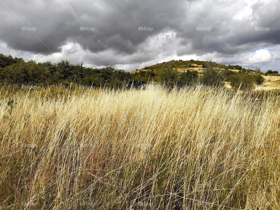 sky has a gray cloud