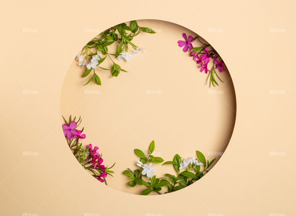 Beige background with a circle and flowers 