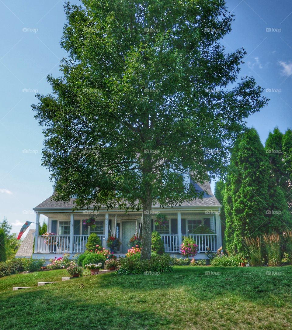 House with a Porch