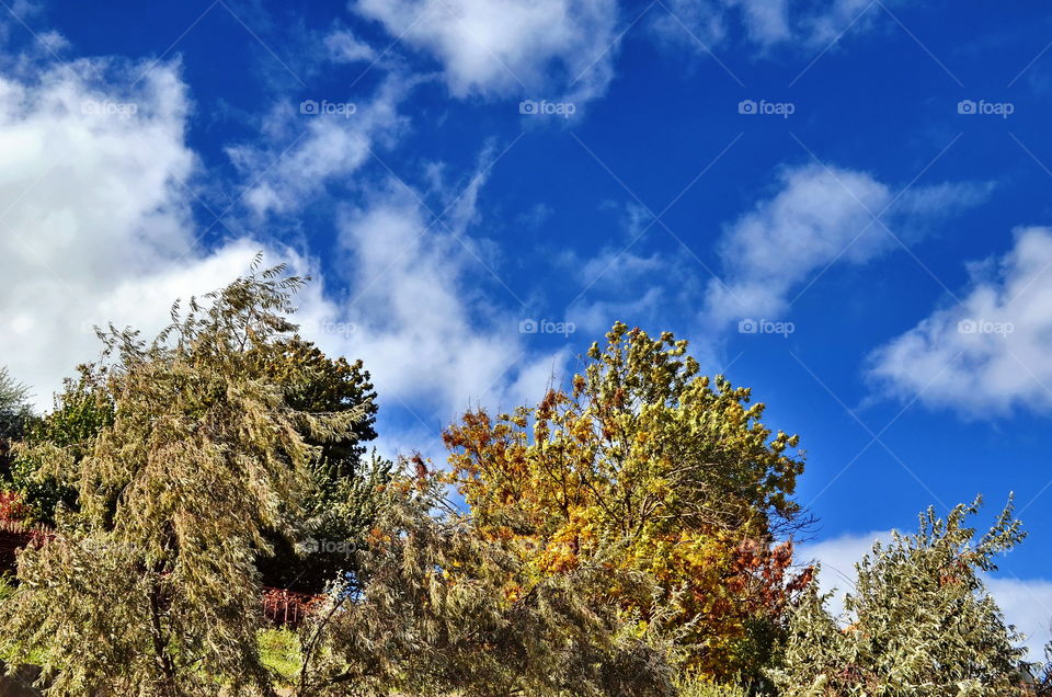 What if such a weather will be for ever and ever? 😎