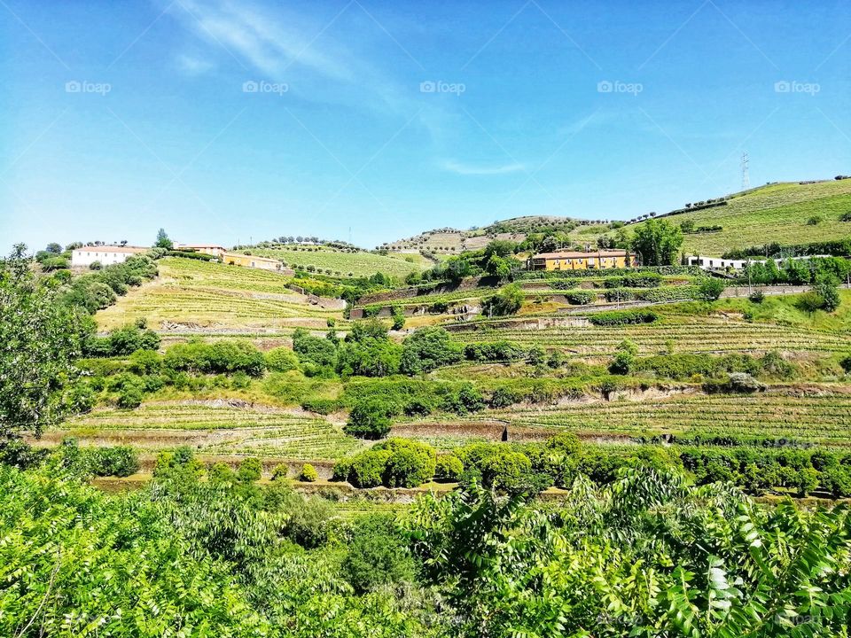 Douro valley, Portugal