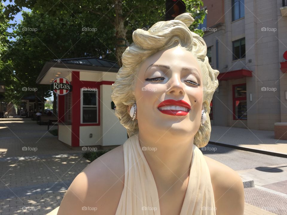 Marilyn Forever 