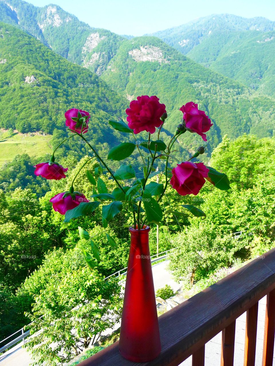 Rose vase on wooden railing