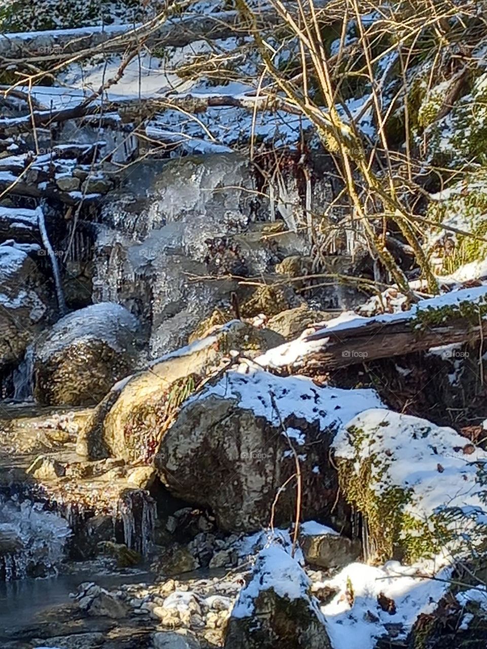 Rocks Wood Snow and Ice