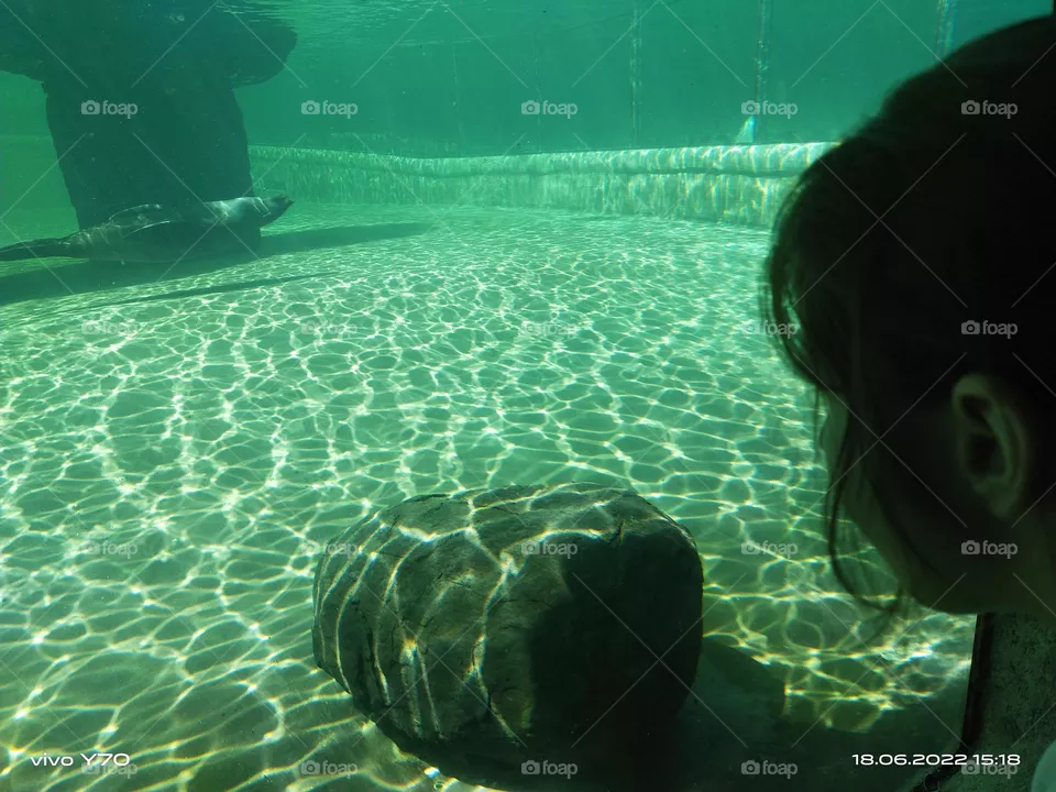 Under the sea