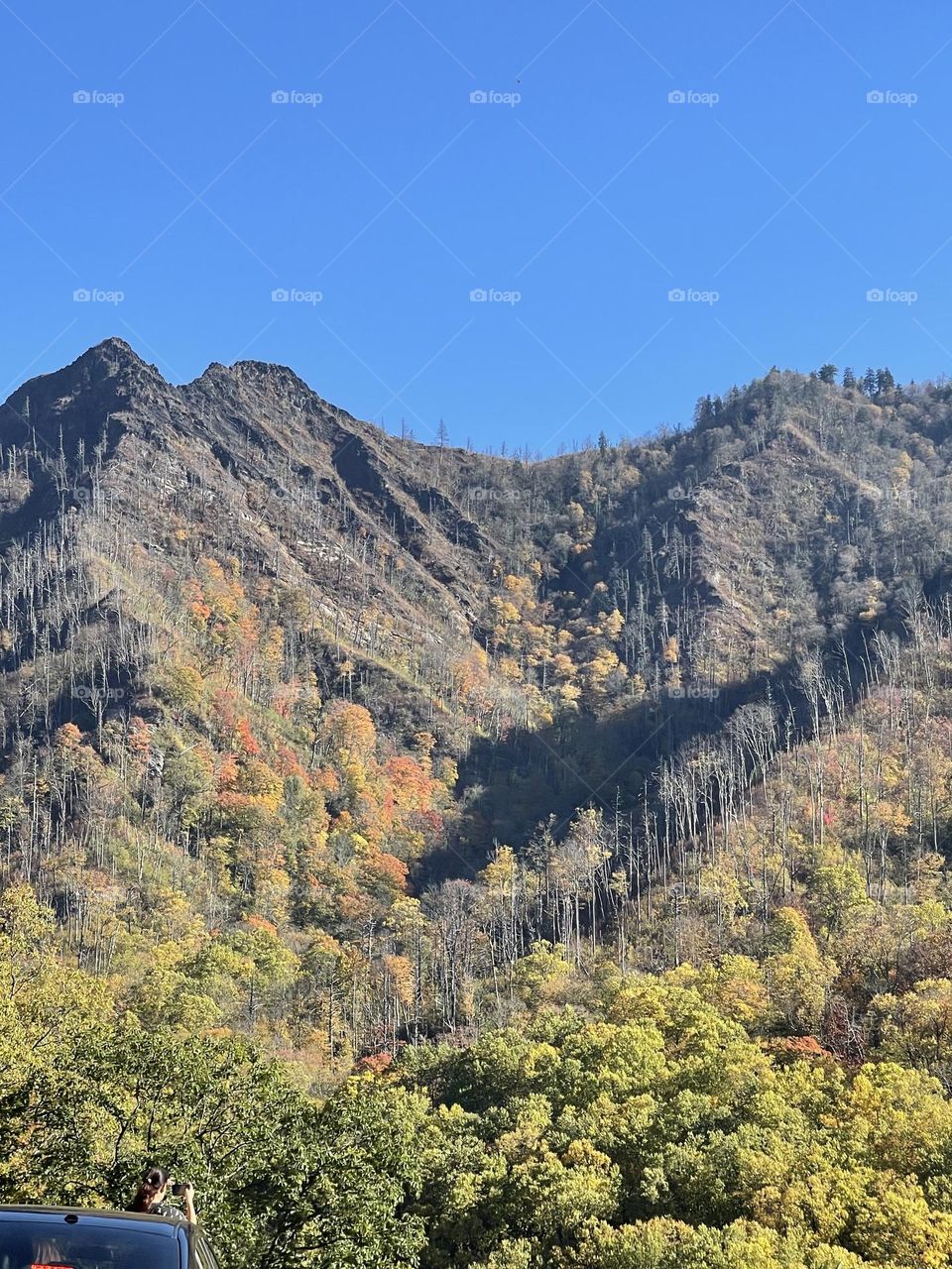 Mountains in the fall 