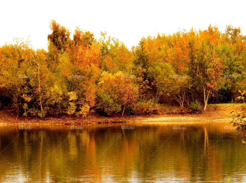 Fall on the lake