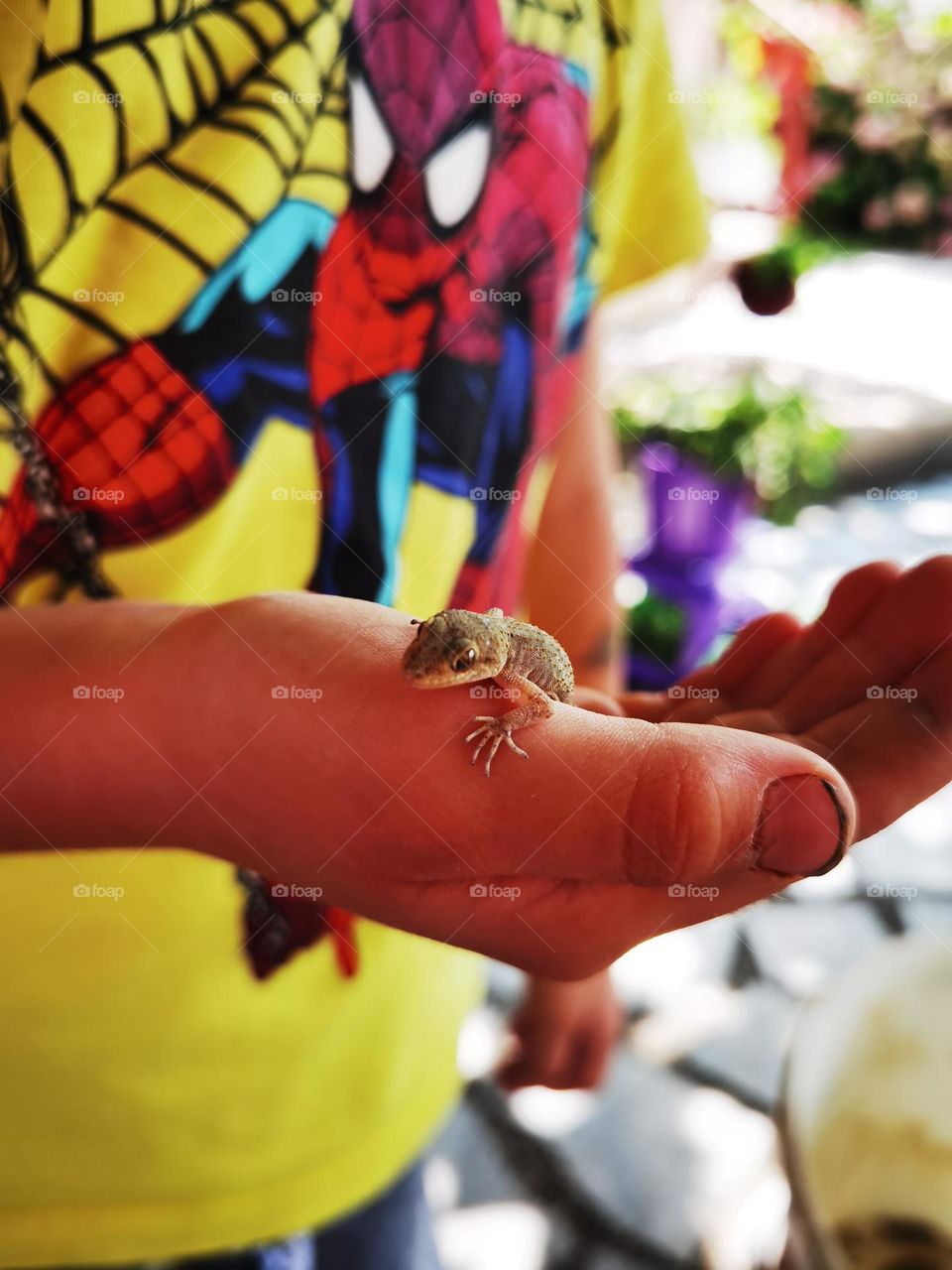 Little cute Reptil