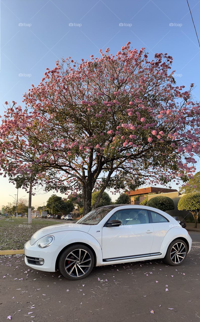 Fusca TSI o bomba branco de Maracaju /MS