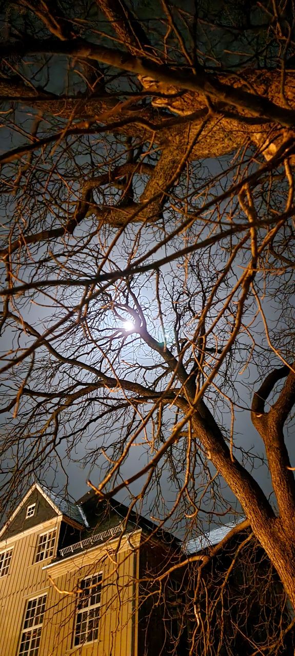 Moonshine