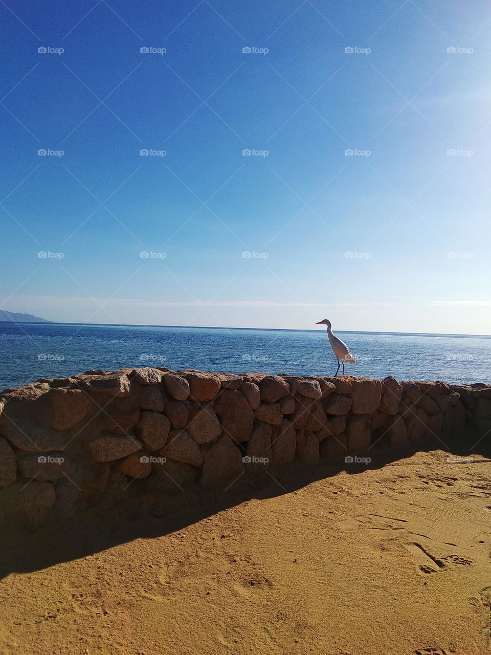 battle mountains vs.