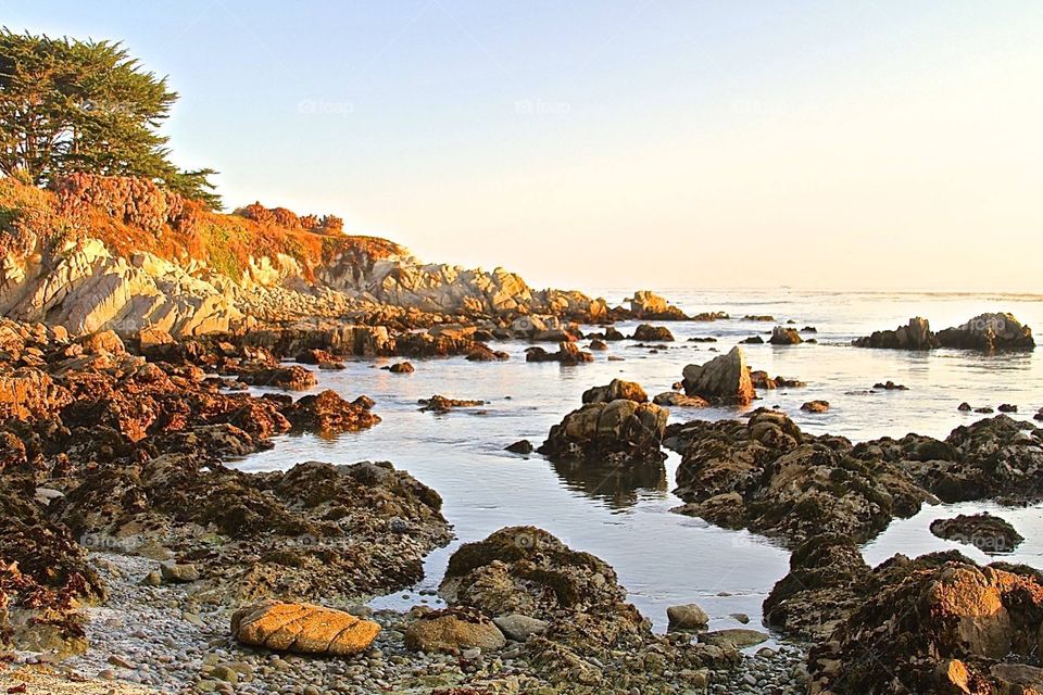 MORNING CALM

Morning on the beach in Pacific Grove CA