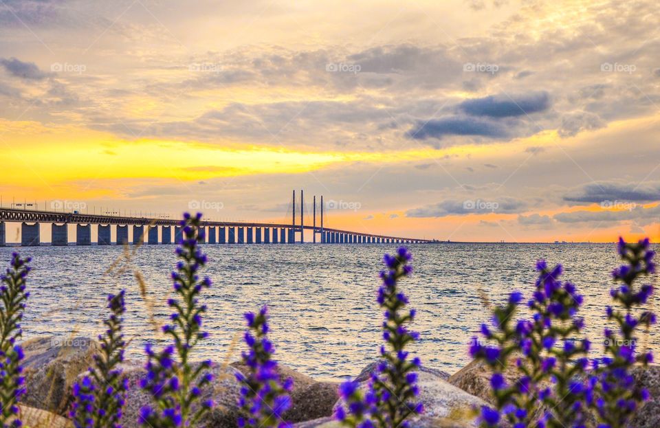 View of Oeresund bridge over sea during sunset