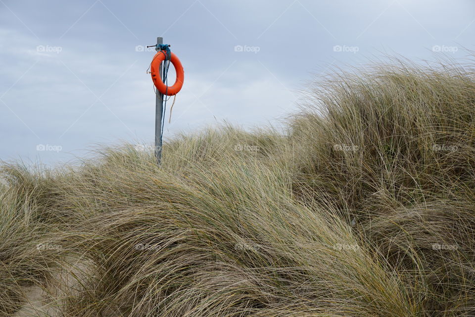 Northumberland Dunes