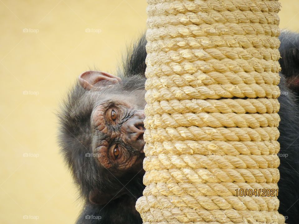 One of my most beautiful pictures