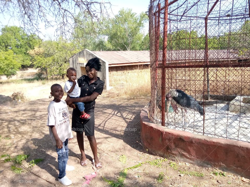 a shadow of a bird, the children and the tree in the Zoo.