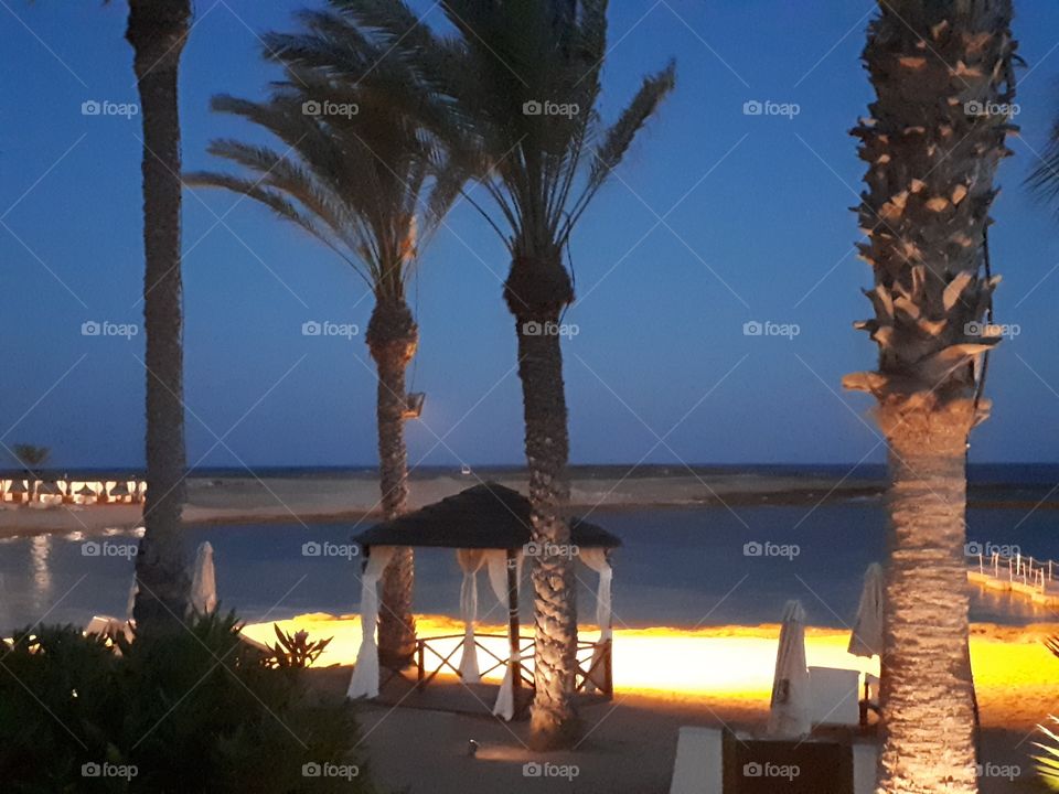 Beach at Asamina Suites  in Cyprus
