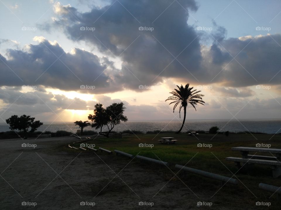 No Person, Beach, Sunset, Tree, Water