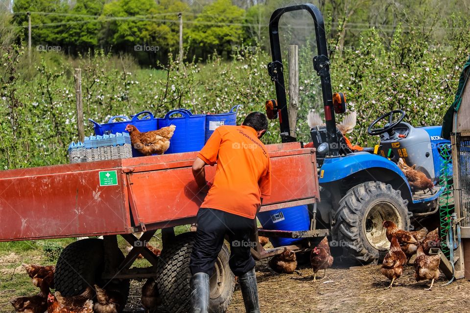 Tractor in agriculture field