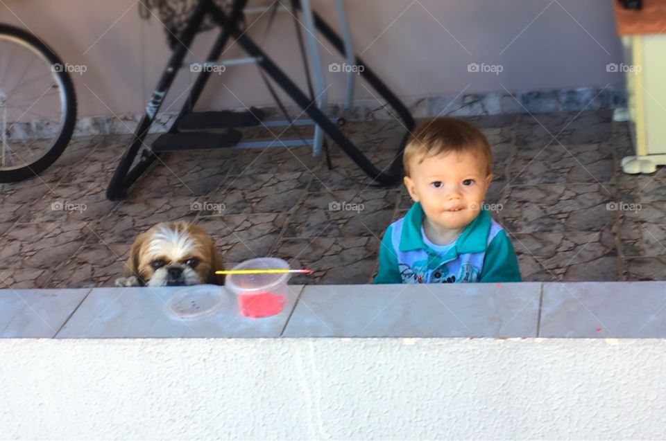 Meu sobrinho Miguelzinho e a cachorrinha Pepita. Viraram amigos!!! Que duplinha legal. 