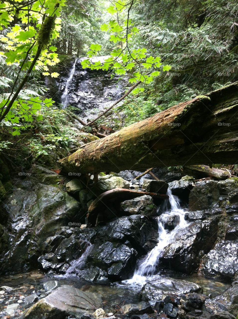The beauty of a gentle waterfall