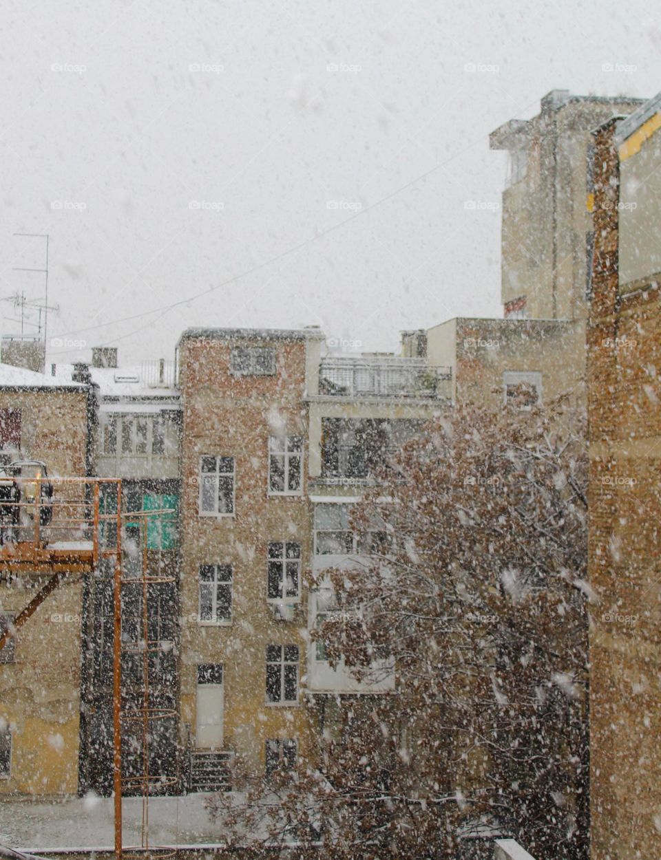 Snow blizzard in the city