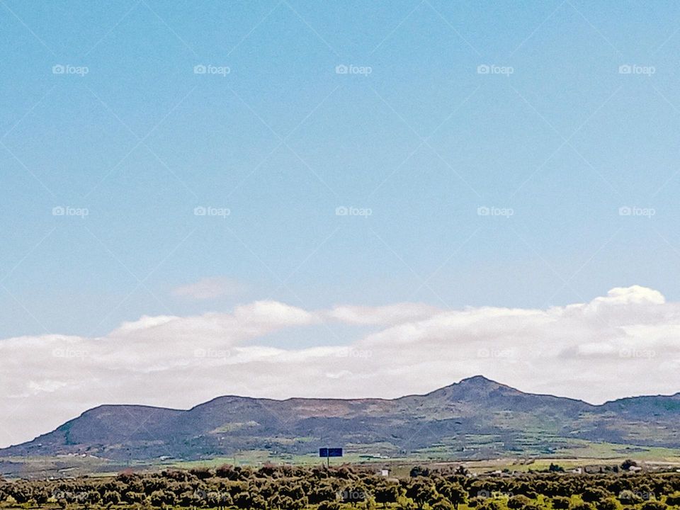 beautiful day Landscape whit trees and mountain