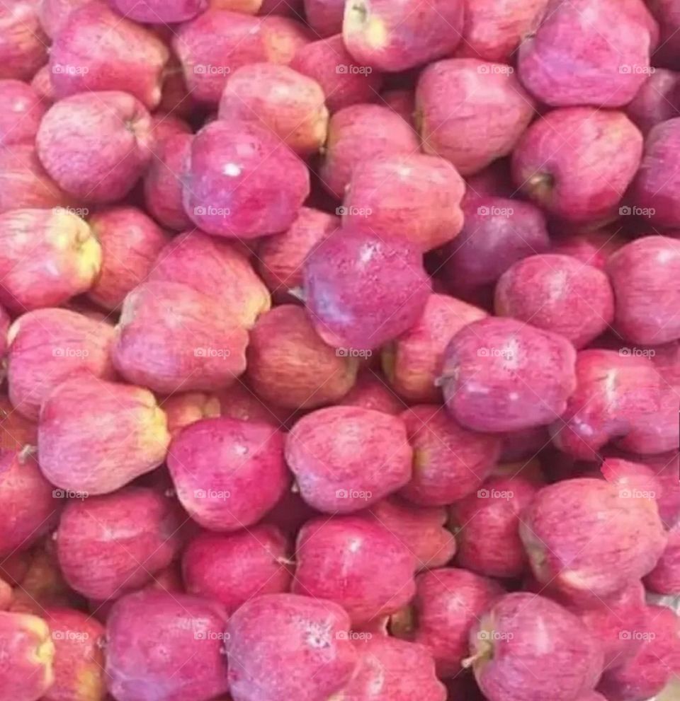 most beautiful and attractive fruits in the garden.