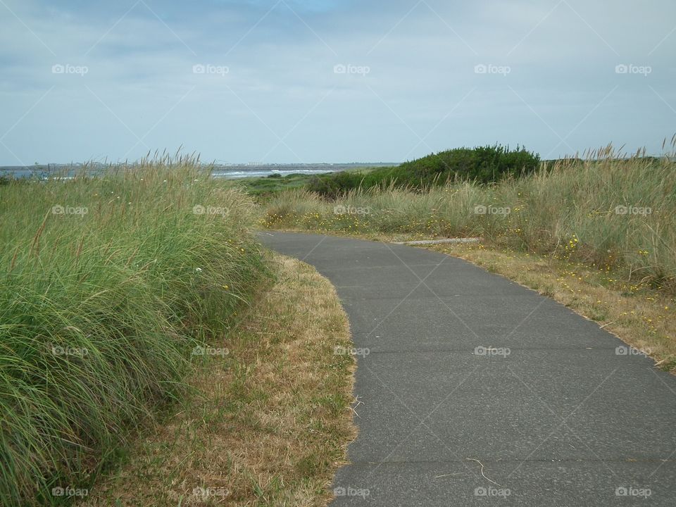 footpath
