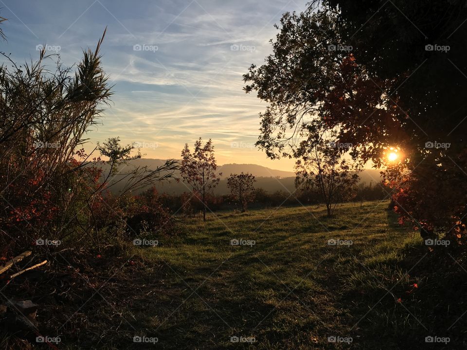 Landscape, Tree, Dawn, Sunset, No Person