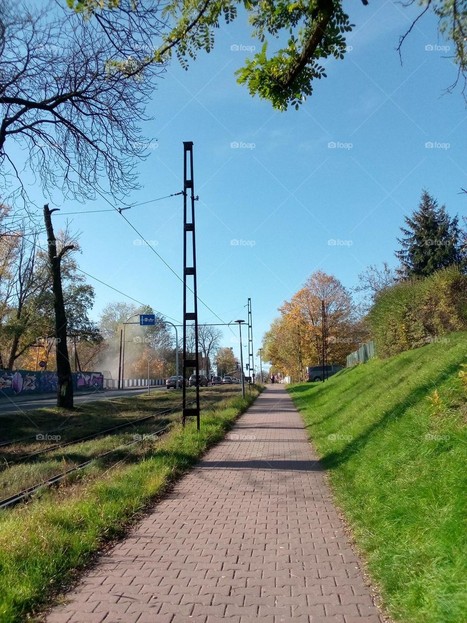 autumn morning in the city.