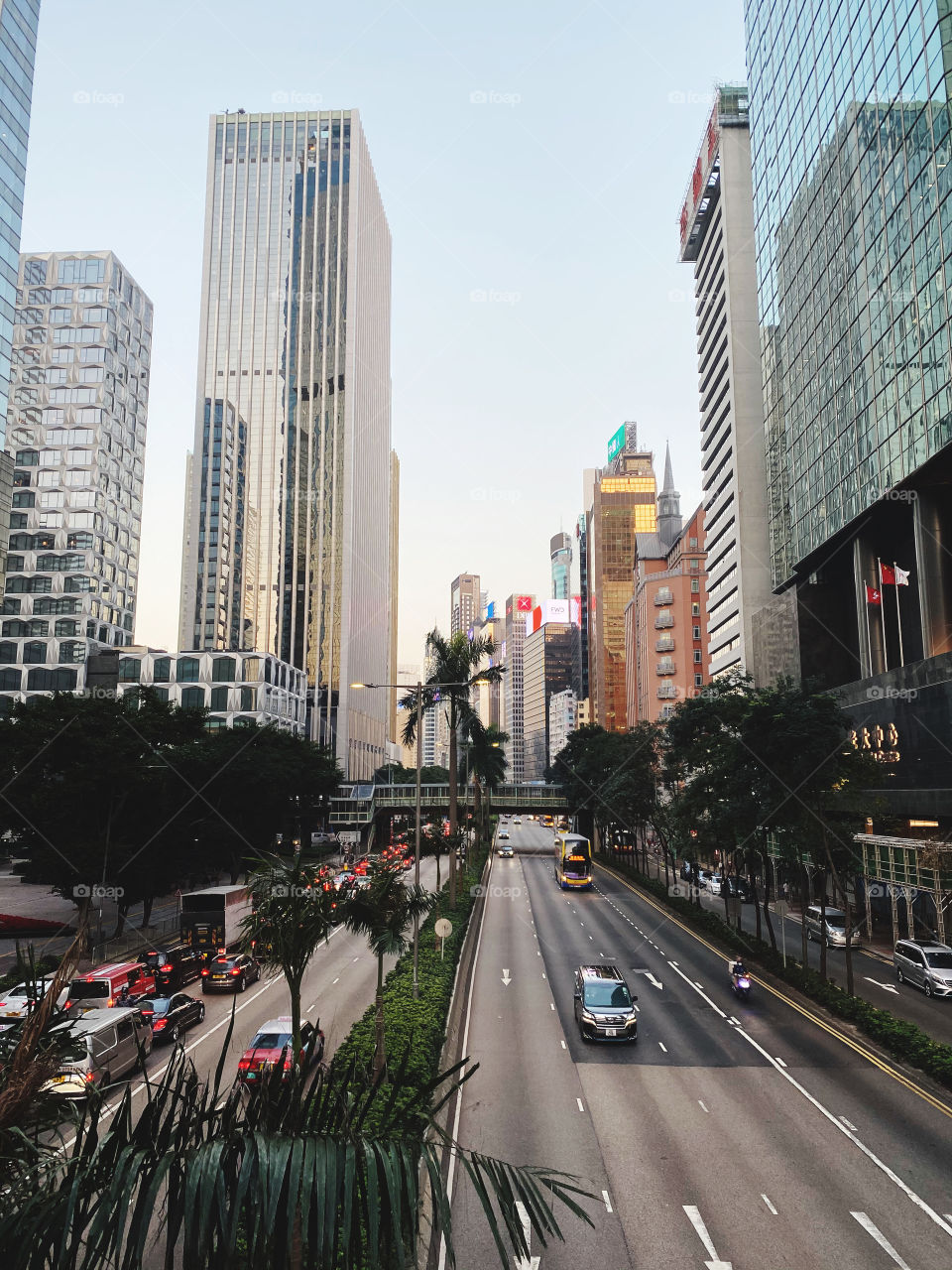 Urban jungle hong kong island Hong Kong architecture Hong Kong City Hong Kong urban area 