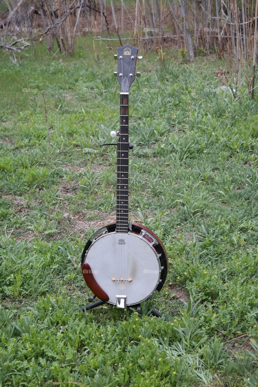 banjo baby. vintage restored banjo