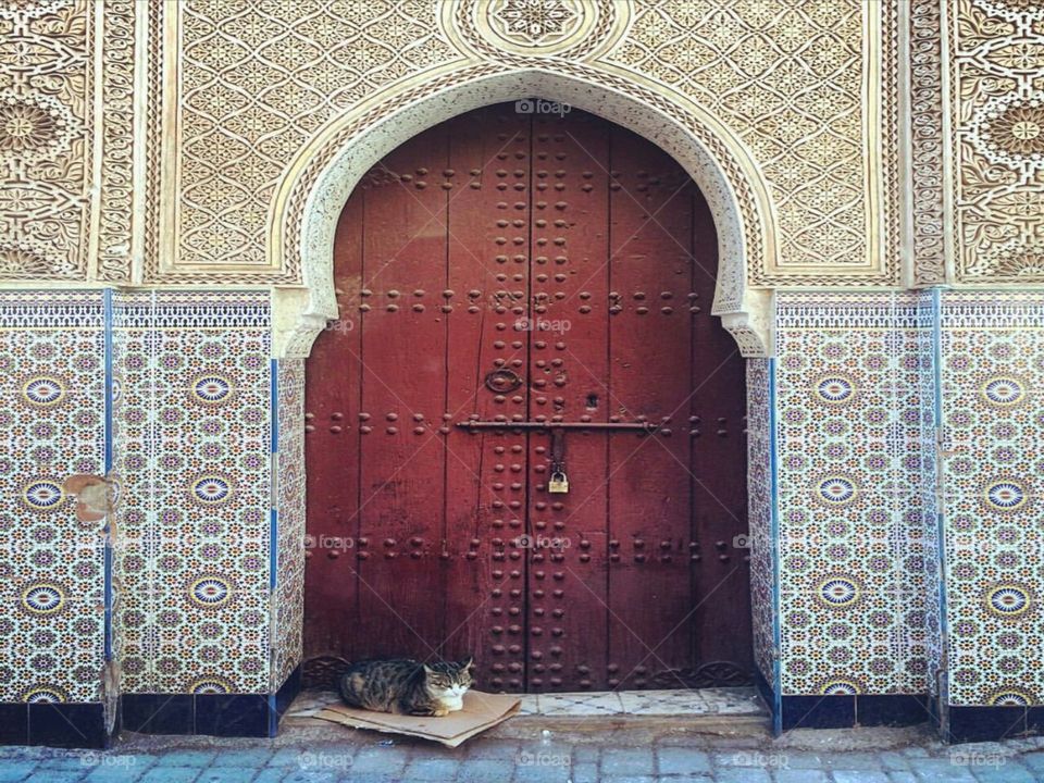 #marrakech
