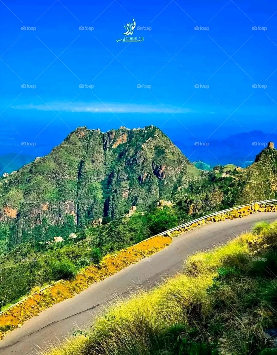 A very beautiful picture, and there is no better picture than it. There is no better picture of green herbs and colorful, red and white roses than it. Glory be to God, the natural and picturesque view, and there is no more