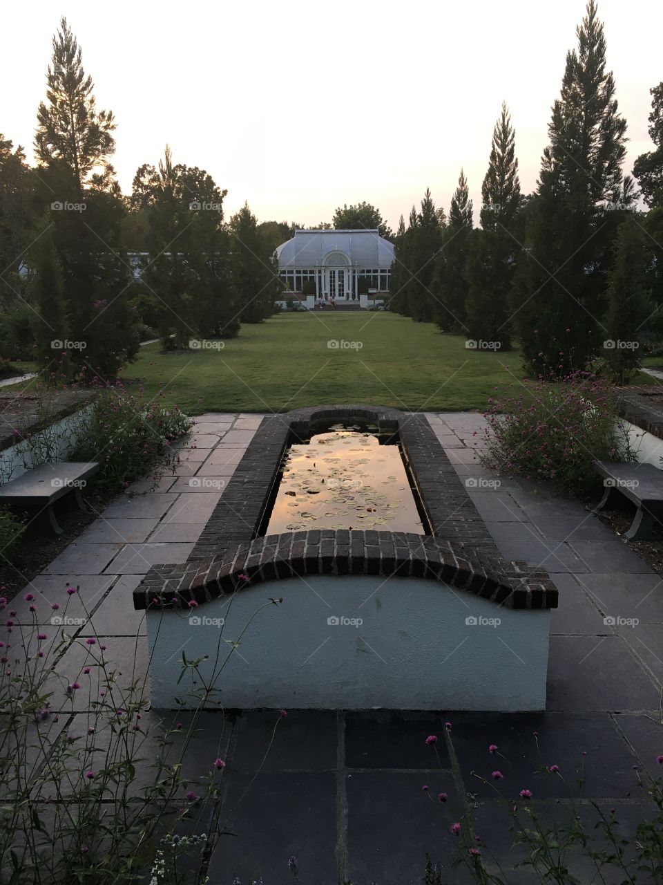 A sunset is reflected in a pond. 