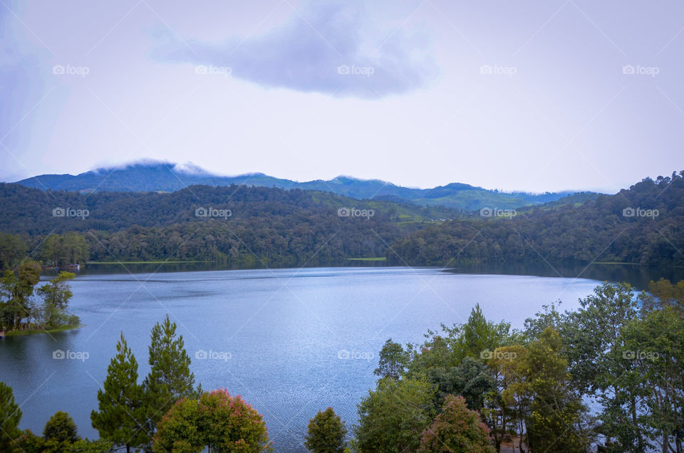 morning view in the lake