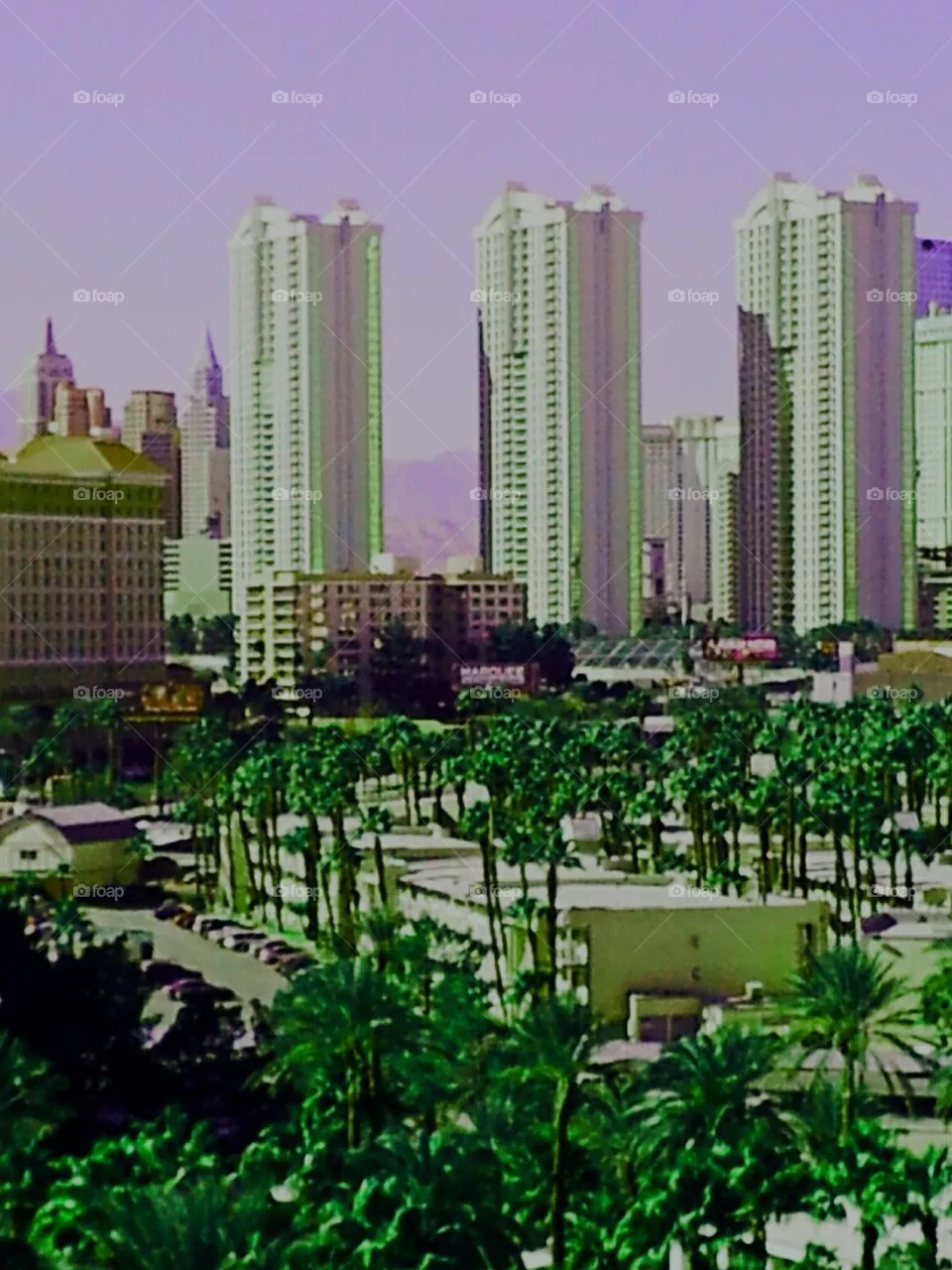 Vegas View