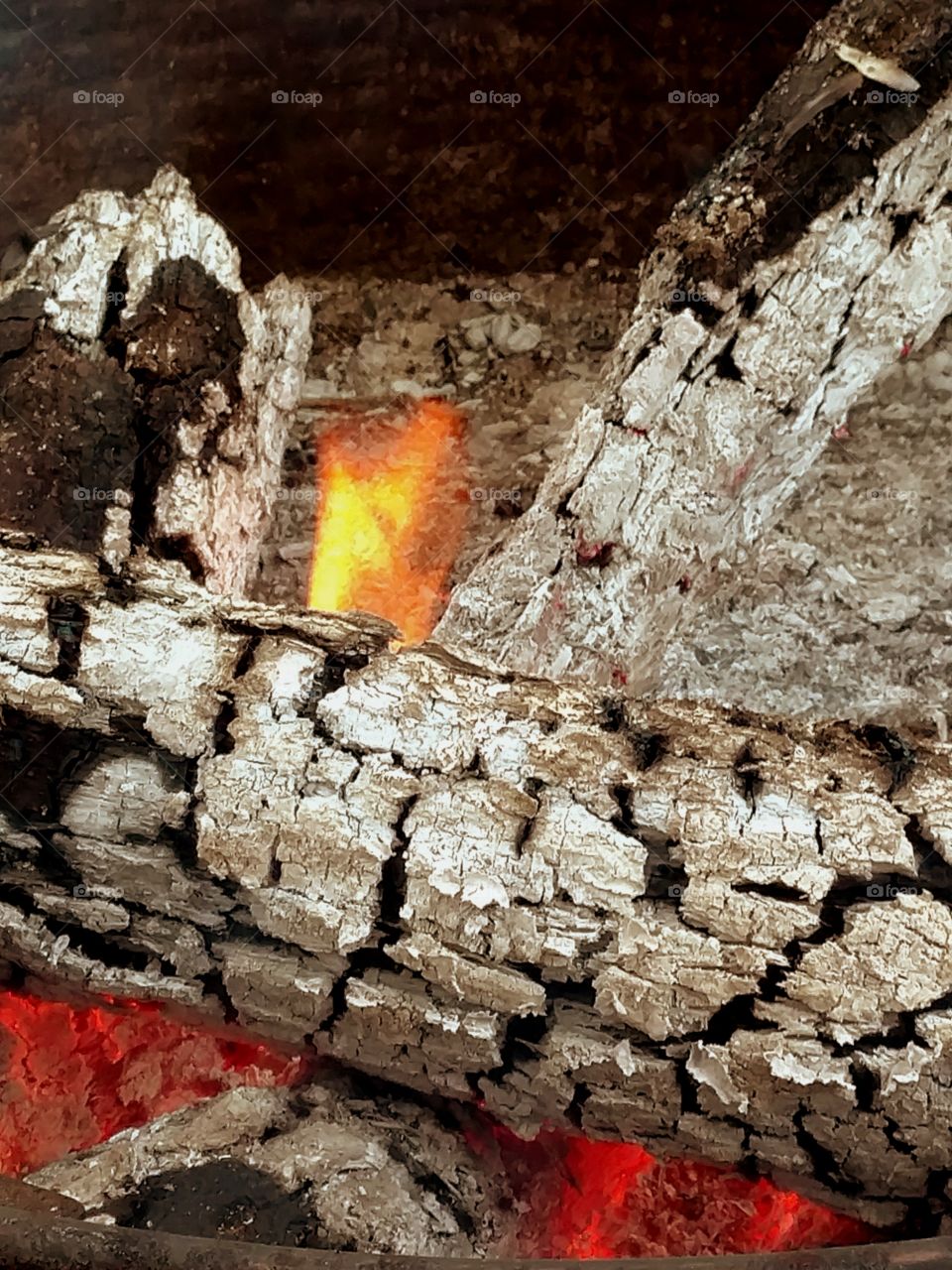Dying Fire, with Logs and Ashes