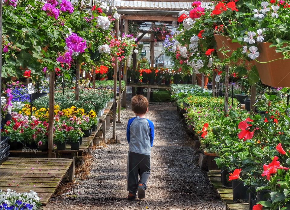 Boy Walking Through Flower Garden