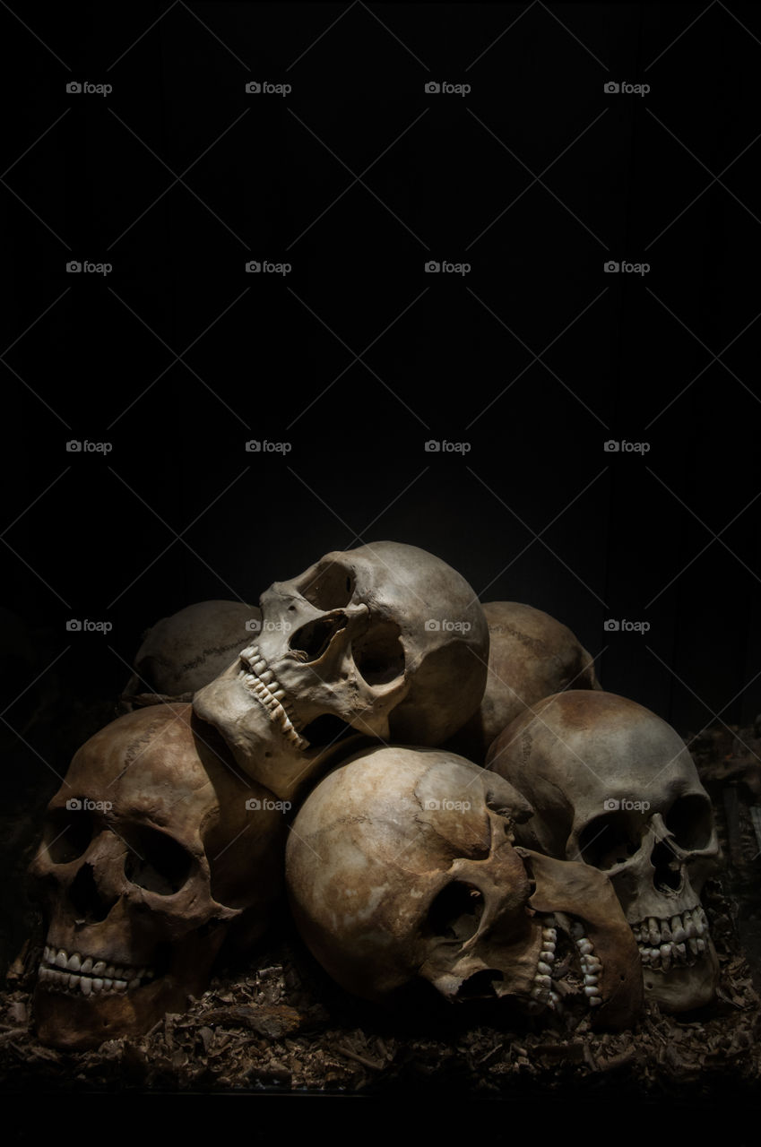 Skulls on show for the public at a local museum in Sweden.