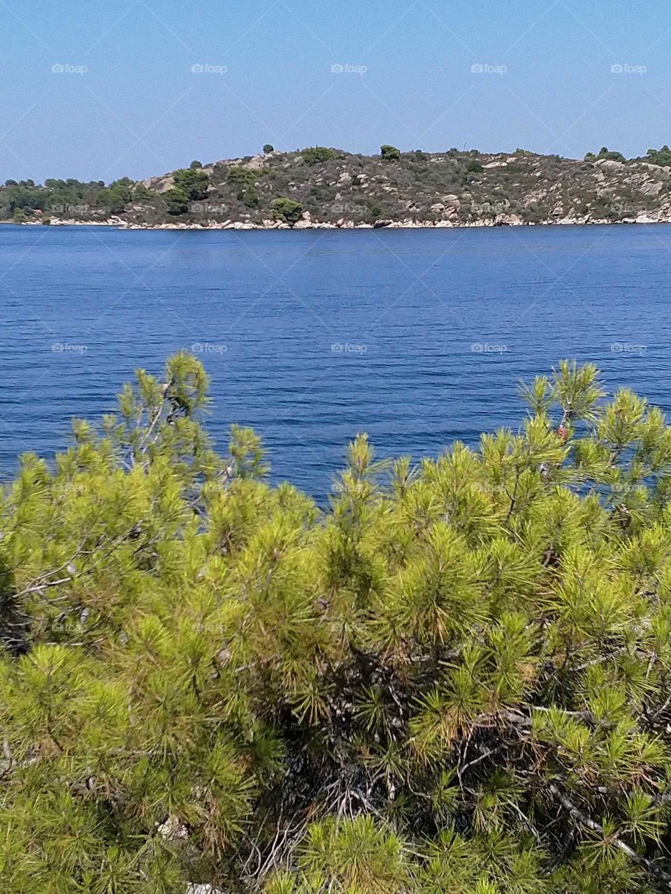 Greek summer chalkidiki