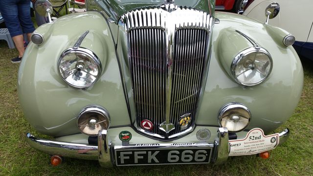 light green