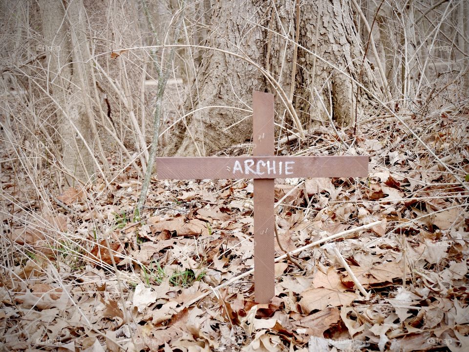 A roadside memorial to a beloved pet. “Archie” was his name. 